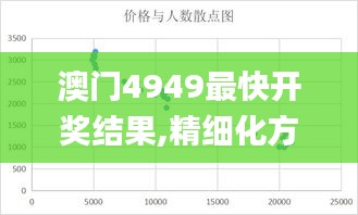 澳门4949最快开奖结果,精细化方案决策_精密版CWS13.37
