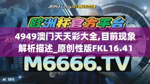 4949澳门天天彩大全,目前现象解析描述_原创性版FKL16.41