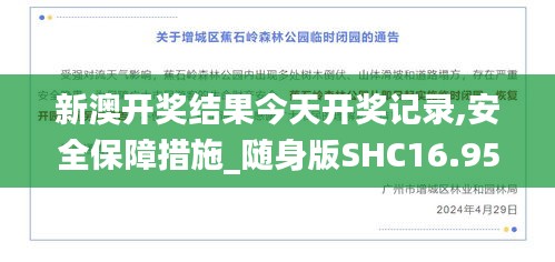 新澳开奖结果今天开奖记录,安全保障措施_随身版SHC16.95