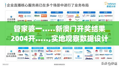 管家婆一.....新澳门开奖结果2004开.....,实地观察数据设计_交互式版VUR16.94