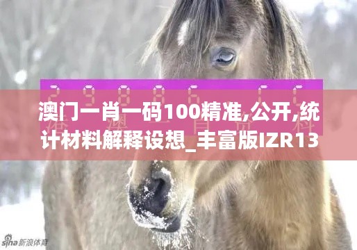 澳门一肖一码100精准,公开,统计材料解释设想_丰富版IZR13.6