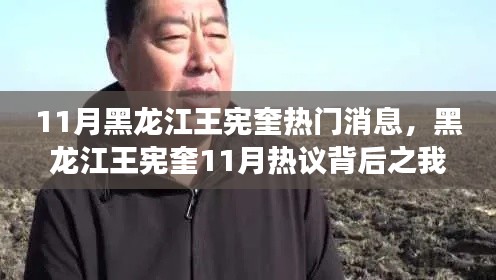 黑龙江王宪奎热议背后的观察与分析，11月最新消息解读