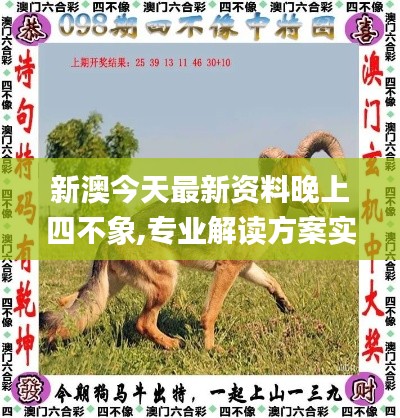 新澳今天最新资料晚上四不象,专业解读方案实施_快速版OKC16.11