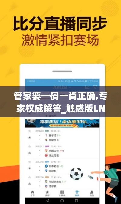 管家婆一码一肖正确,专家权威解答_触感版LNR13.40