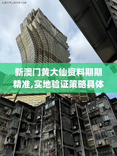 新澳门黄大仙资料期期精准,实地验证策略具体_旗舰设备版XIR16.26