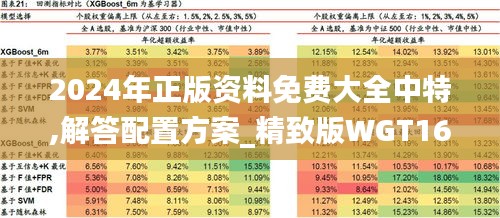2024年正版资料免费大全中特,解答配置方案_精致版WGT16.17