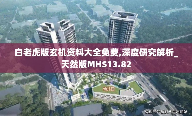 白老虎版玄机资料大全免费,深度研究解析_天然版MHS13.82