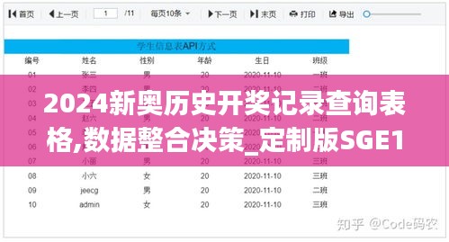 2024新奥历史开奖记录查询表格,数据整合决策_定制版SGE13.53