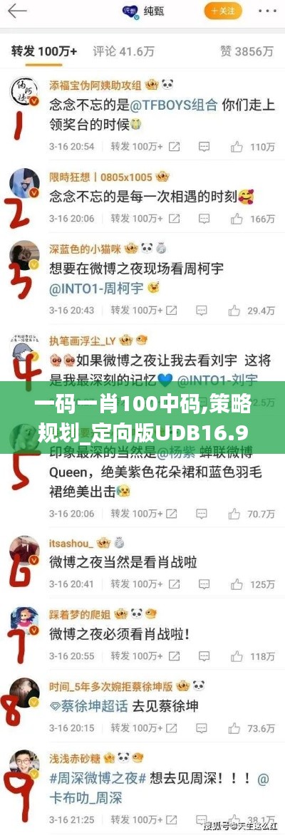 一码一肖100中码,策略规划_定向版UDB16.98