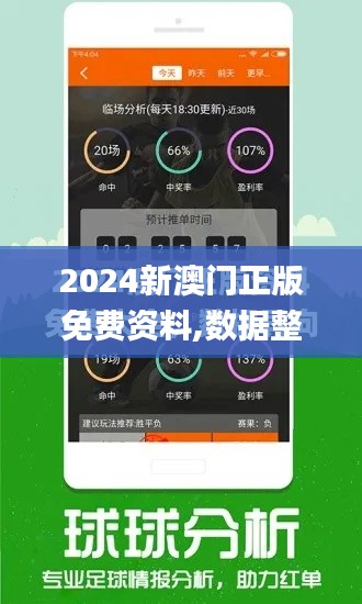 2024新澳门正版免费资料,数据整合解析计划_荣耀版VJA13.36