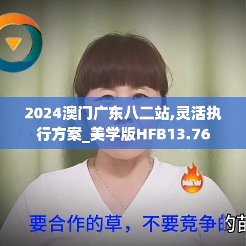 2024澳门广东八二站,灵活执行方案_美学版HFB13.76