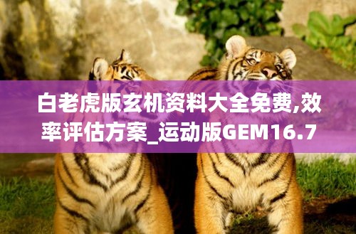 白老虎版玄机资料大全免费,效率评估方案_运动版GEM16.76