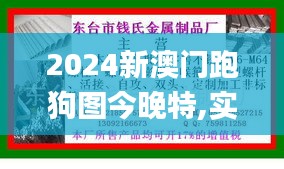 2024新澳门跑狗图今晚特,实地验证实施_移动版HPN13.70