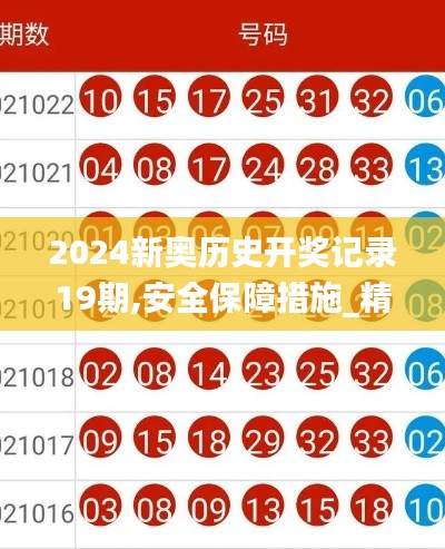 2024新奥历史开奖记录19期,安全保障措施_精致生活版LZX16.19