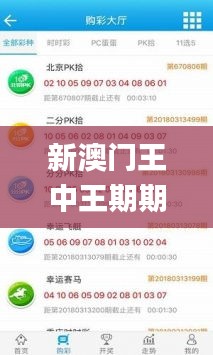 新澳门王中王期期中特,应用领域分析_交互版HZR13.70