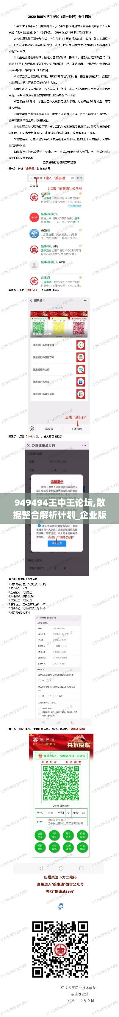 949494王中王论坛,数据整合解析计划_企业版ZEA13.61