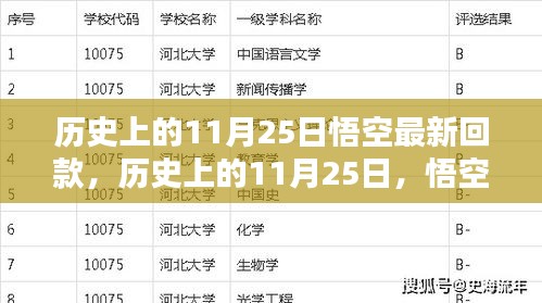 历史上的11月25日悟空最新回款动态概览