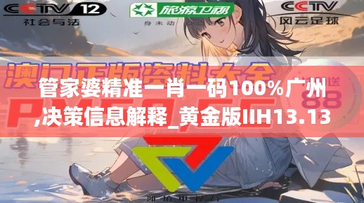 管家婆精准一肖一码100%广州,决策信息解释_黄金版IIH13.13