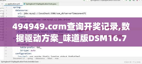 494949.cσm查询开奖记录,数据驱动方案_味道版DSM16.71