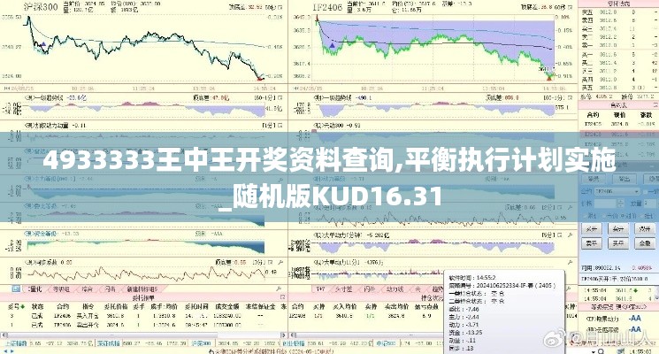 4933333王中王开奖资料查询,平衡执行计划实施_随机版KUD16.31