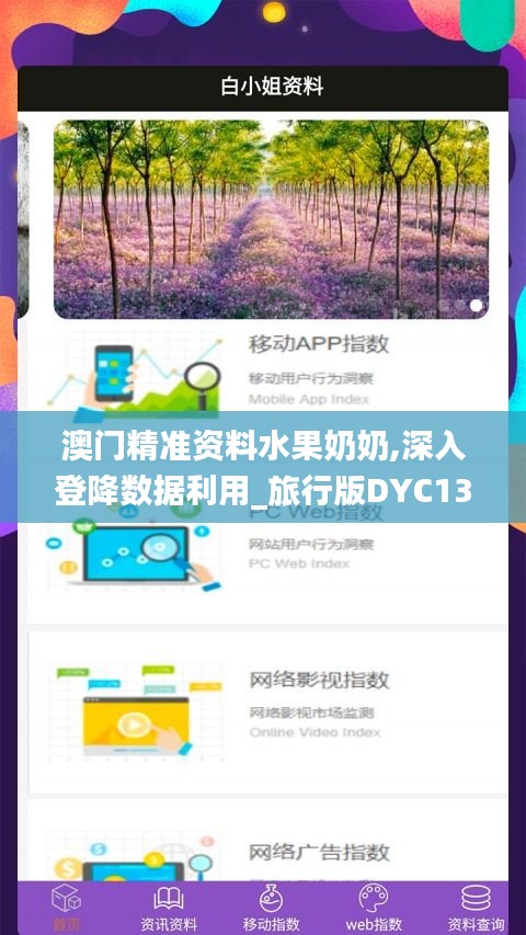 澳门精准资料水果奶奶,深入登降数据利用_旅行版DYC13.67
