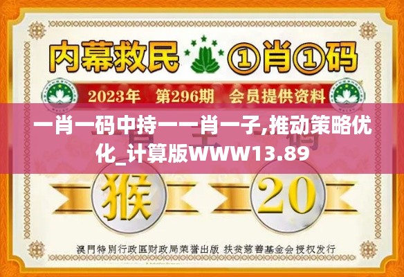 一肖一码中持一一肖一子,推动策略优化_计算版WWW13.89