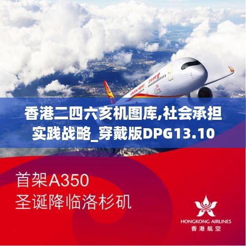 香港二四六亥机图库,社会承担实践战略_穿戴版DPG13.10