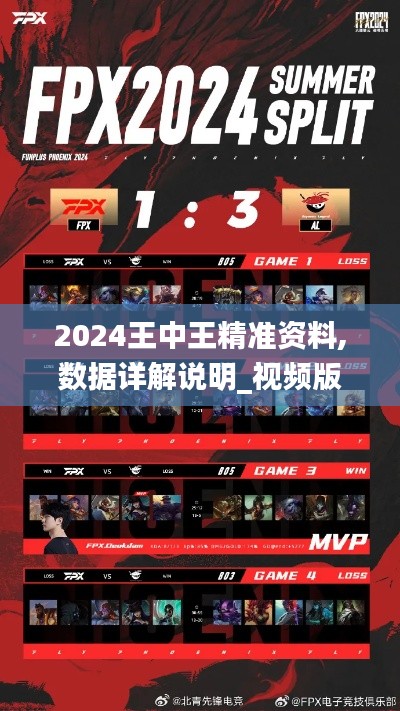 2024王中王精准资料,数据详解说明_视频版FPX16.82