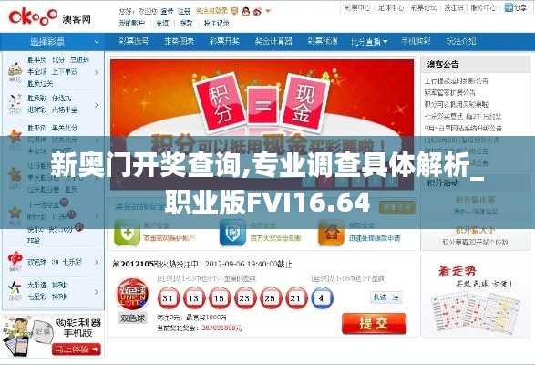 新奥门开奖查询,专业调查具体解析_职业版FVI16.64