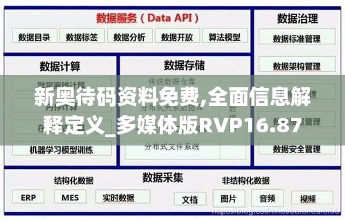 新奥待码资料免费,全面信息解释定义_多媒体版RVP16.87