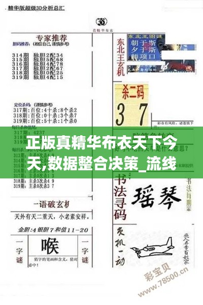 正版真精华布衣天下今天,数据整合决策_流线型版YYC16.72