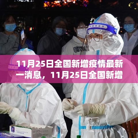 全国新增疫情最新动态，全面解析与案例剖析（11月25日更新）