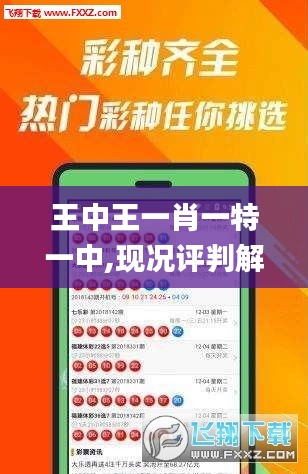 王中王一肖一特一中,现况评判解释说法_钻石版ZVJ16.9