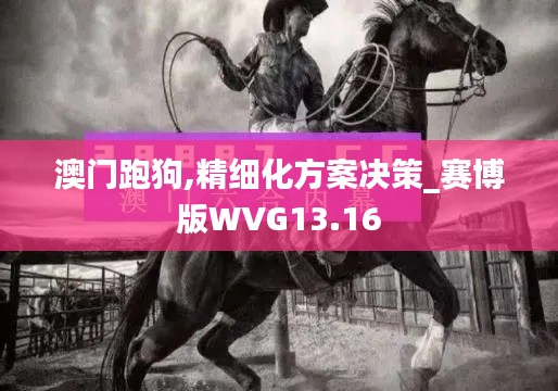 澳门跑狗,精细化方案决策_赛博版WVG13.16