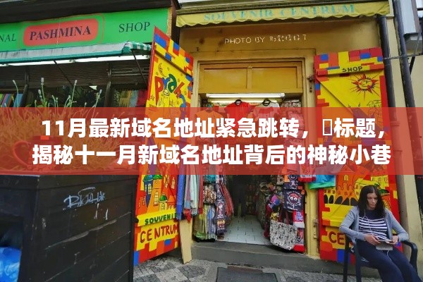 揭秘十一月新域名地址背后的神秘小巷特色小店，紧急跳转新发现