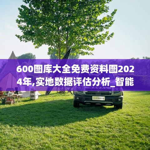 600图库大全免费资料图2024年,实地数据评估分析_智能版DYJ13.64