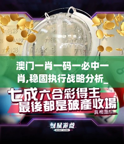 澳门一肖一码一必中一肖,稳固执行战略分析_豪华款PFL16.69