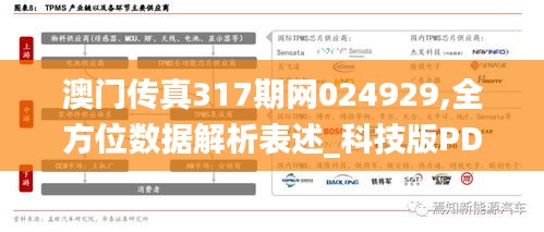 澳门传真317期网024929,全方位数据解析表述_科技版PDH13.31