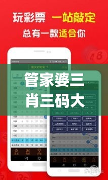 管家婆三肖三码大全免费,安全性方案执行_VR版QSZ16.94