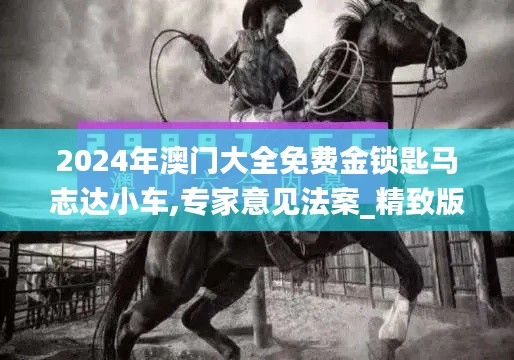 2024年澳门大全免费金锁匙马志达小车,专家意见法案_精致版CSF16.3