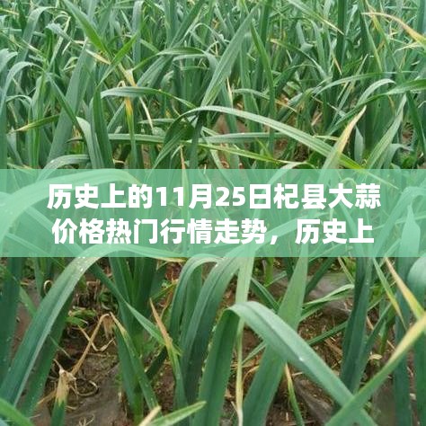 披肝沥胆 第3页