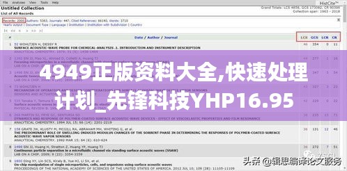 4949正版资料大全,快速处理计划_先锋科技YHP16.95