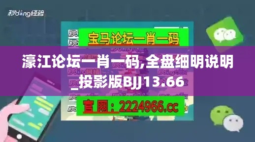 濠江论坛一肖一码,全盘细明说明_投影版BJJ13.66