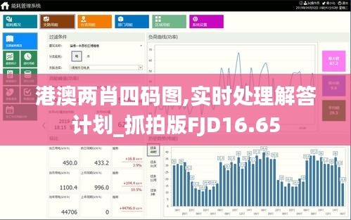 港澳两肖四码图,实时处理解答计划_抓拍版FJD16.65