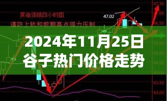 谷子热门价格走势深度解析，用户体验与目标用户群体分析