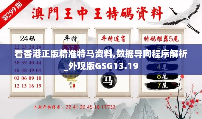 看香港正版精准特马资料,数据导向程序解析_外观版GSG13.19