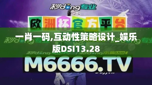 一肖一码,互动性策略设计_娱乐版DSI13.28