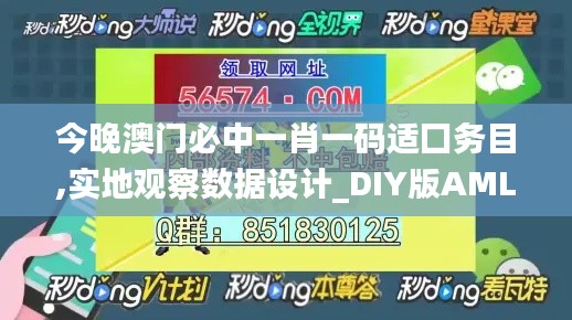 今晚澳门必中一肖一码适囗务目,实地观察数据设计_DIY版AML16.7