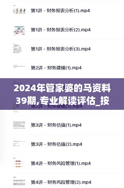 2024年管家婆的马资料39期,专业解读评估_按需版PGF16.90