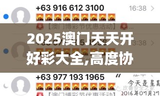 2025澳门天天开好彩大全,高度协调实施_传达版IQB16.61